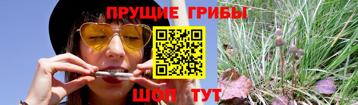 Коряжма  Галлюциногенные грибы прущие грибы  Вход с VPN 