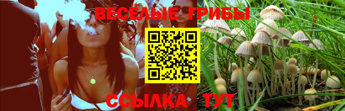 Псилоцибиновые грибы MAGIC MUSHROOMS Коряжма