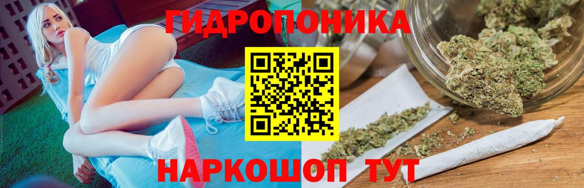 Коряжма  Канабис семена  Вход с VPN  Марихуана гибрид  Каннабис AK-47 